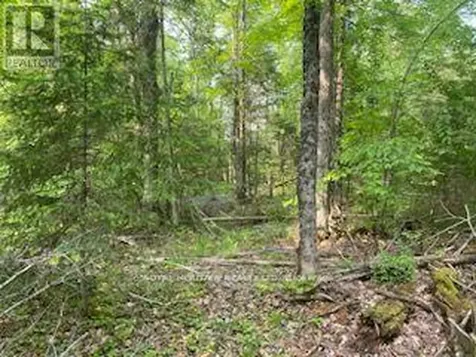 17556 Highway 62 Madoc ON K0K 2K0
