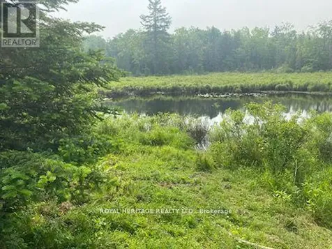 17556 Highway 62 Madoc ON K0K 2K0