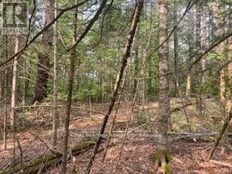 17556 Highway 62 Madoc ON K0K 2K0