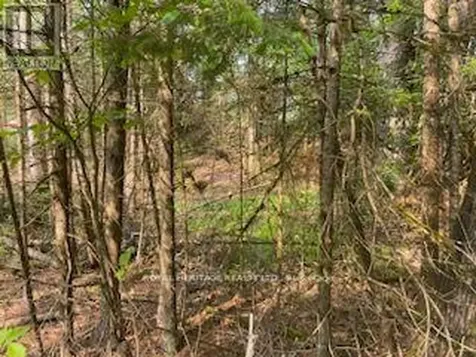 17556 Highway 62 Madoc ON K0K 2K0