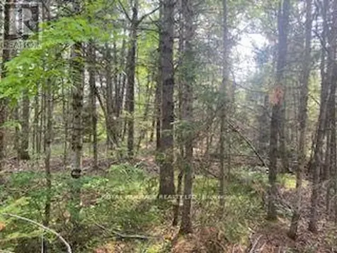 17556 Highway 62 Madoc ON K0K 2K0