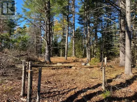 17556 Highway 62 Madoc ON K0K 2K0