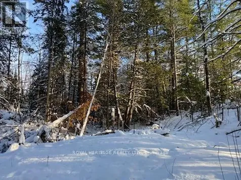 17556 Highway 62 Madoc ON K0K 2K0