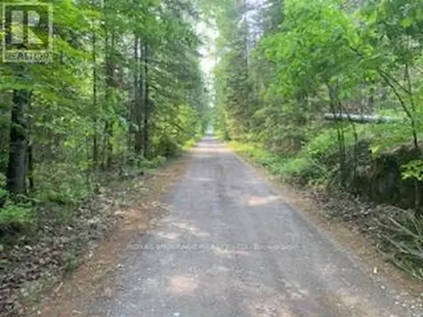 17556 Highway 62 Madoc ON K0K 2K0
