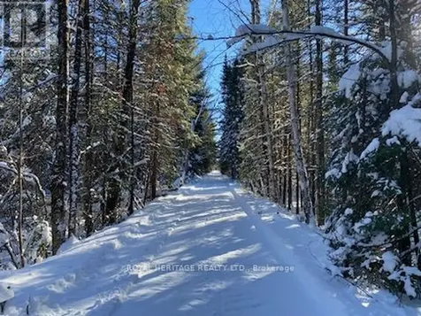 17556 Highway 62 Madoc ON K0K 2K0