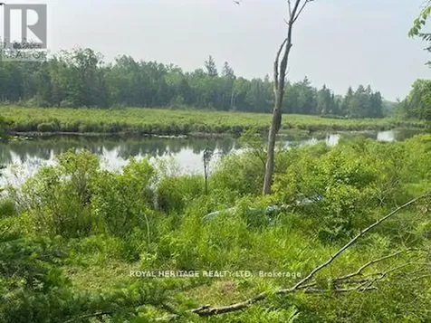 17556 Highway 62 Madoc ON K0K 2K0