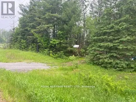 17556 Highway 62 Madoc ON K0K 2K0