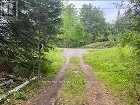 17556 Highway 62 Madoc ON K0K 2K0