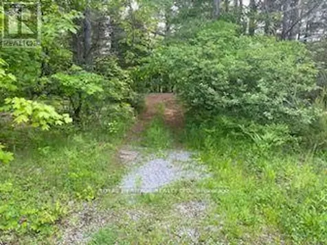 17556 Highway 62 Madoc ON K0K 2K0