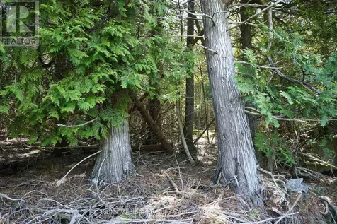 Point Lt 24 Spry Shore Road Northern Bruce Peninsula ON N0H 1W0