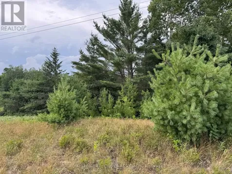 0 Black Bay Road Petawawa ON K8H 2W8