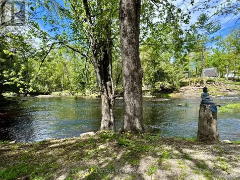 398 Edwina Drive Trent Lakes ON K0M 1A0
