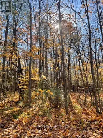 239 Concession 11w Trent Hills ON K0L 1Y0
