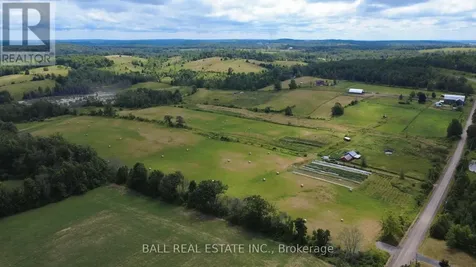 239 Concession 11w Trent Hills ON K0L 1Y0