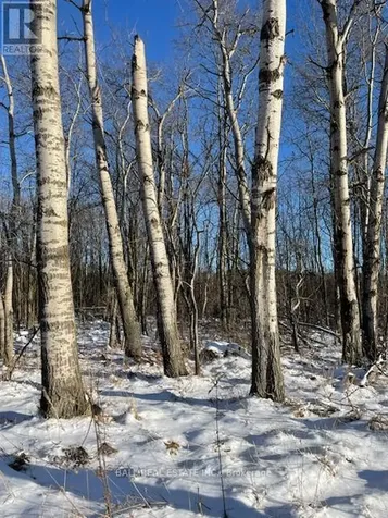 239 Concession 11w Trent Hills ON K0L 1Y0