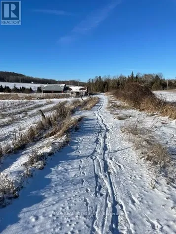 239 Concession 11w Trent Hills ON K0L 1Y0