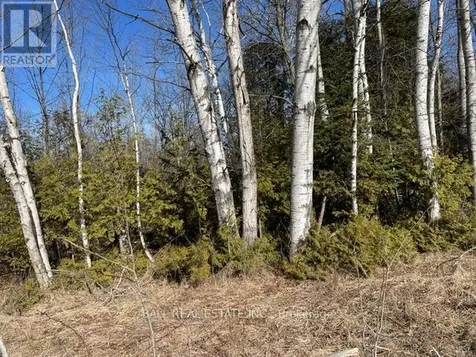 239 Concession 11w Trent Hills ON K0L 1Y0
