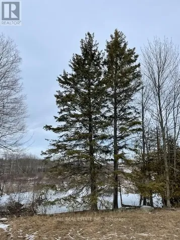 239 Concession 11w Trent Hills ON K0L 1Y0