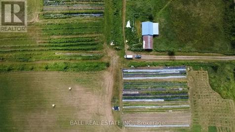 239 Concession 11w Trent Hills ON K0L 1Y0