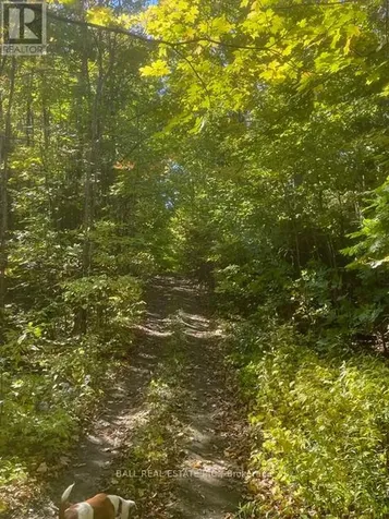 239 Concession 11w Trent Hills ON K0L 1Y0