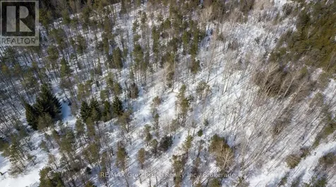 260 Spring Creek Road South Bruce Peninsula ON N0H 1P0
