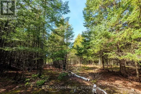 146 Sutter Road Northern Bruce Peninsula ON N0H 1W0