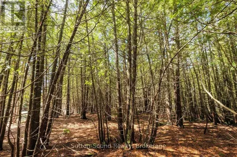 146 Sutter Road Northern Bruce Peninsula ON N0H 1W0