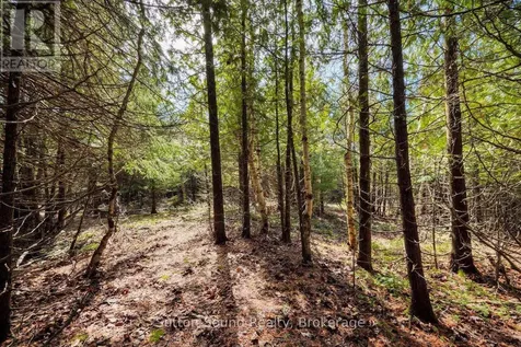 146 Sutter Road Northern Bruce Peninsula ON N0H 1W0