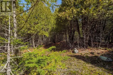 146 Sutter Road Northern Bruce Peninsula ON N0H 1W0