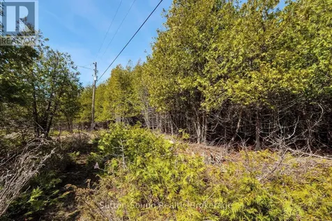 146 Sutter Road Northern Bruce Peninsula ON N0H 1W0