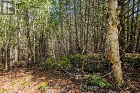146 Sutter Road Northern Bruce Peninsula ON N0H 1W0
