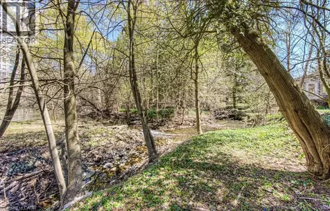 74 Mcdougall Road Waterloo ON N2L 2W5