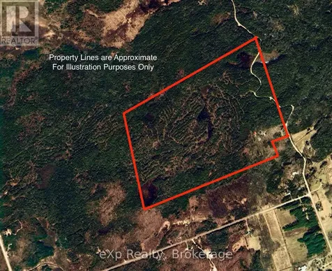 217 Forty Hills Road Northern Bruce Peninsula ON N0H 1W0