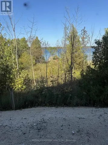 147 Wilson Drive Georgian Bluffs ON N0H 2T0
