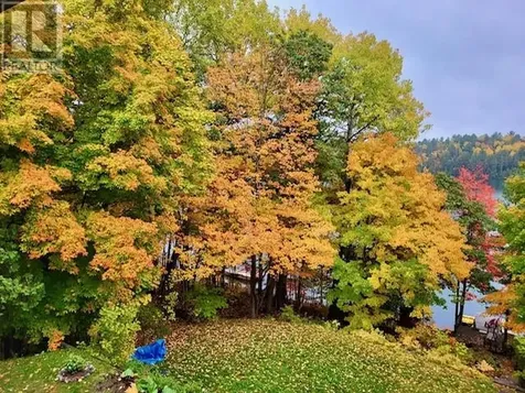 309 Clear Lake Drive Espanola ON P5E 1N6