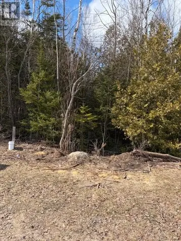 11 Lakeside Woods Crescent Saugeen Shores ON N0H 2C0