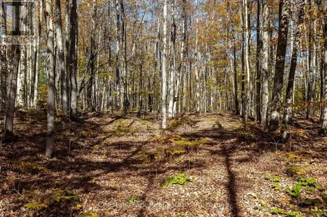 305 Barney's Boulevard Northern Bruce Peninsula ON N0H 1Z0