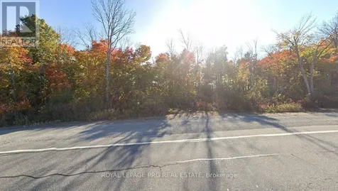 8135 Provincial Highway Severn ON L3V 0Z4