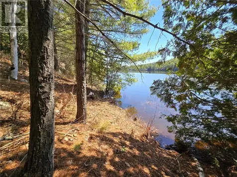 2062B Highway 64 Alban ON P0M 1A0