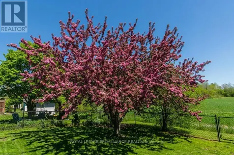 51 Applewood Drive Brighton ON K0K 1H0