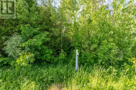 5509 Concession Road 7 Sunnidale Clearview ON L0M 1N0