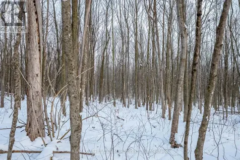 Lot Concession 10 Road South Glengarry ON K0C 1A0