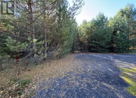 19 Low Avenue Gogama ON P0M 1W0