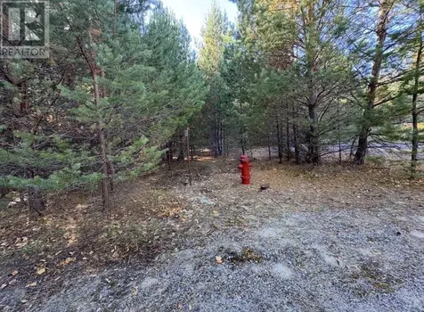 19 Low Avenue Gogama ON P0M 1W0