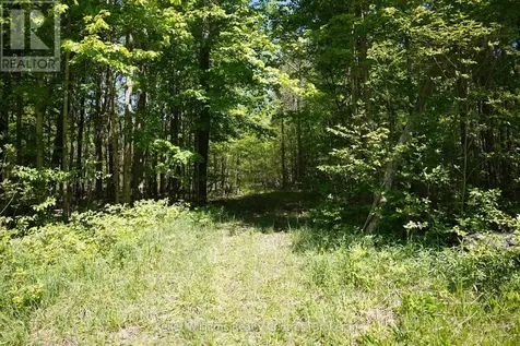 Lot 16 Grey Road 17 Georgian Bluffs ON N0H 2T0