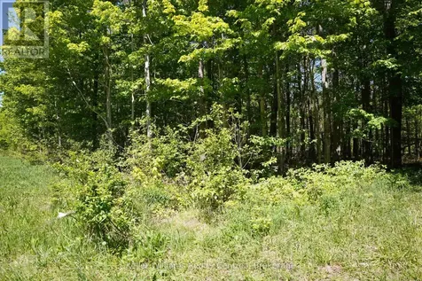 Lot 16 Grey Road 17 Georgian Bluffs ON N0H 2T0