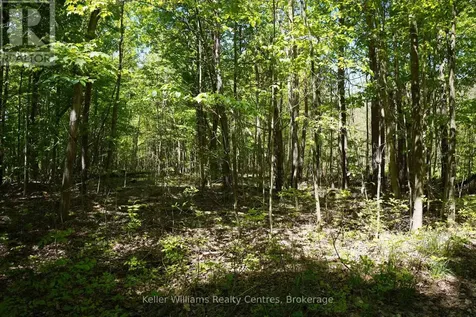 Lot 16 Grey Road 17 Georgian Bluffs ON N0H 2T0