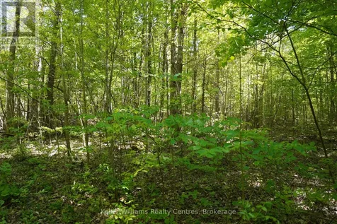 Lot 16 Grey Road 17 Georgian Bluffs ON N0H 2T0