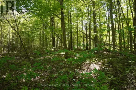 Lot 16 Grey Road 17 Georgian Bluffs ON N0H 2T0