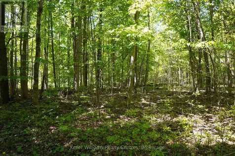 Lot 16 Grey Road 17 Georgian Bluffs ON N0H 2T0